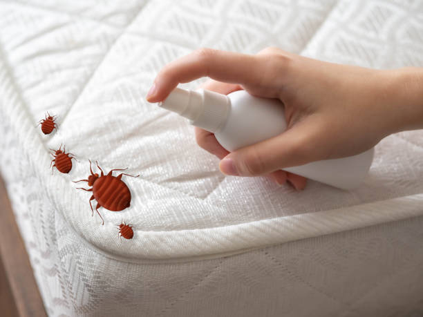 Reliable Minnetrista, MN Pest control Solutions